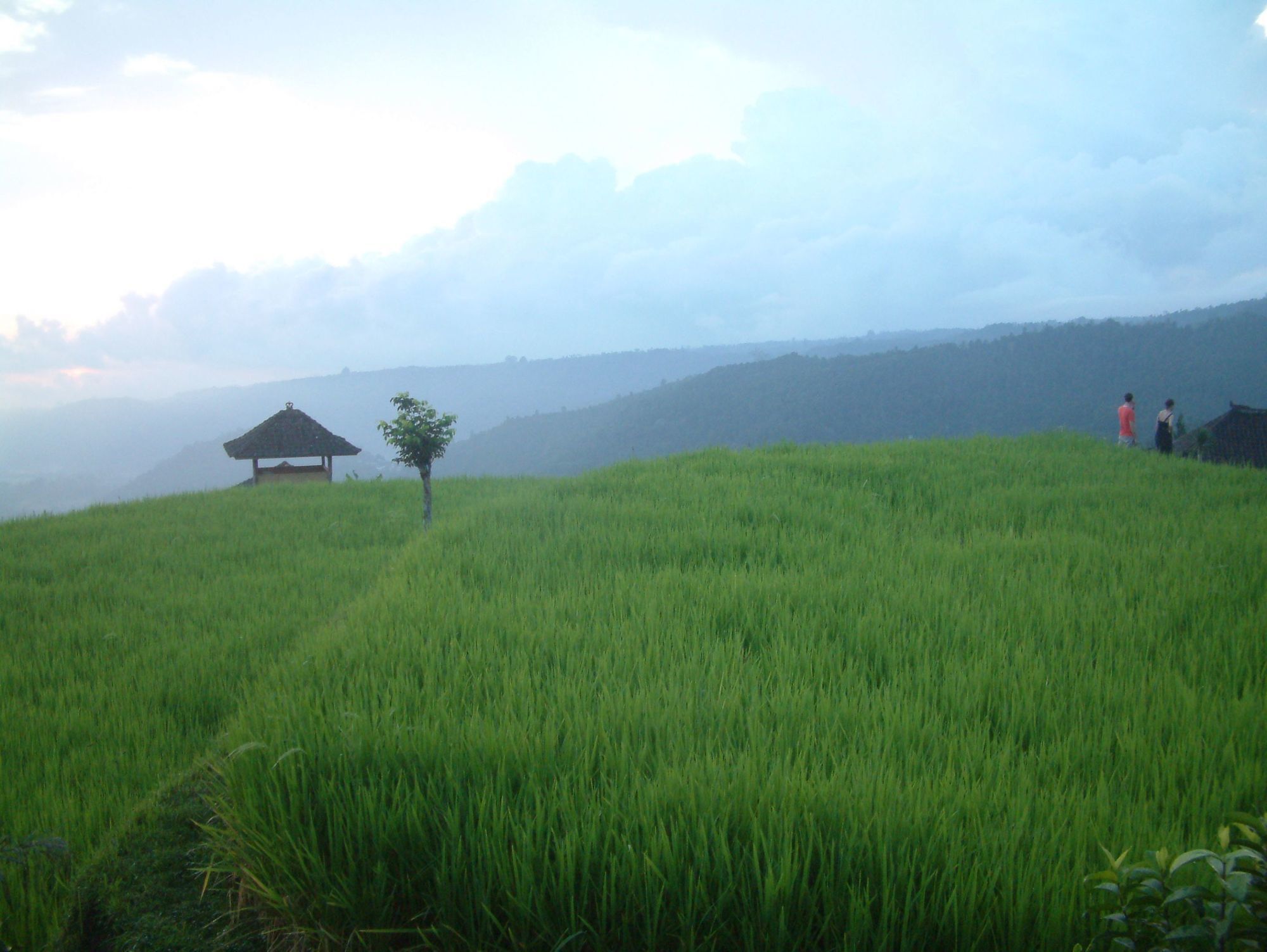 Puri Lumbung Cottages Gobleg  Bagian luar foto