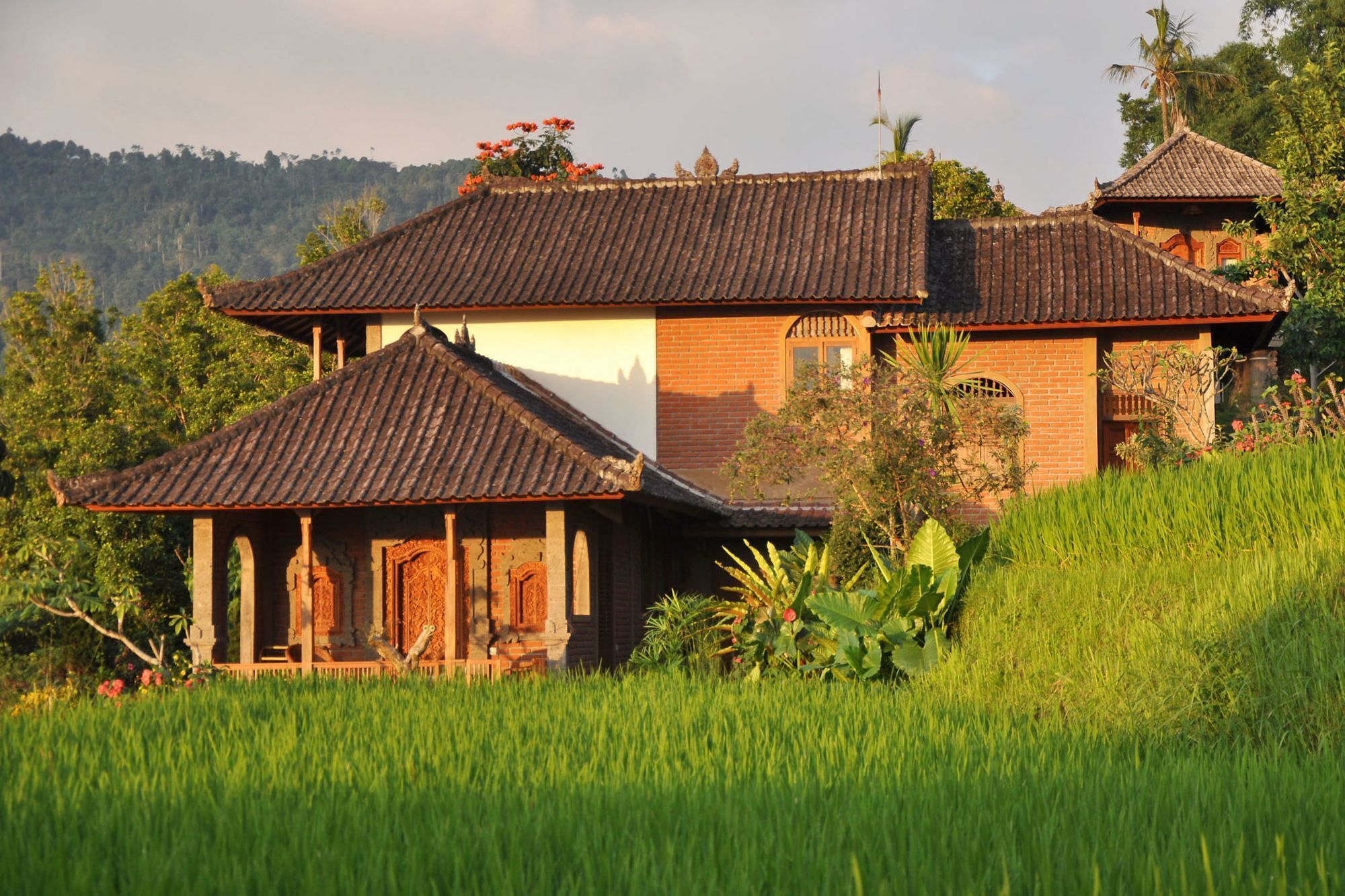 Puri Lumbung Cottages Gobleg  Bagian luar foto