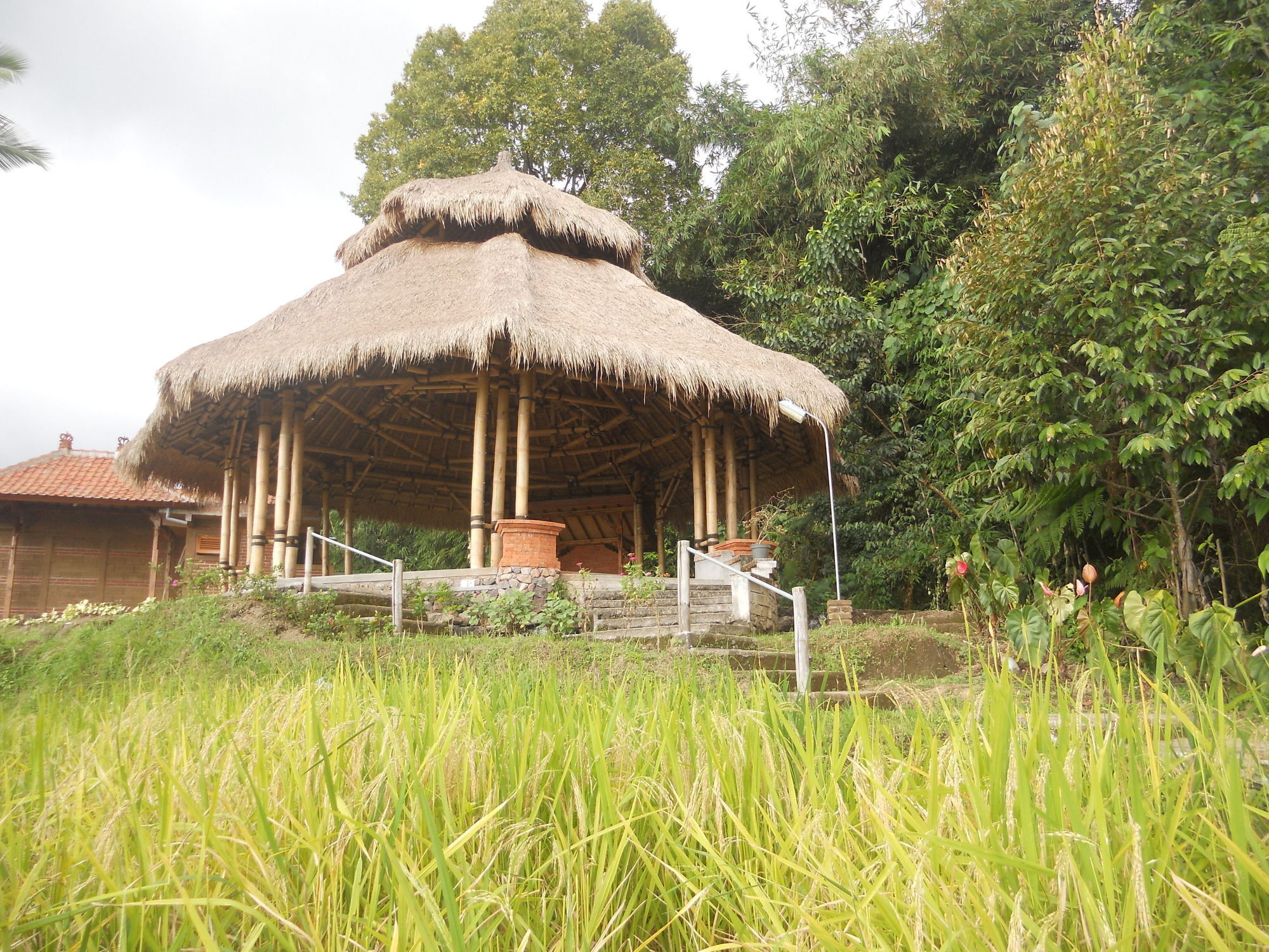 Puri Lumbung Cottages Gobleg  Bagian luar foto