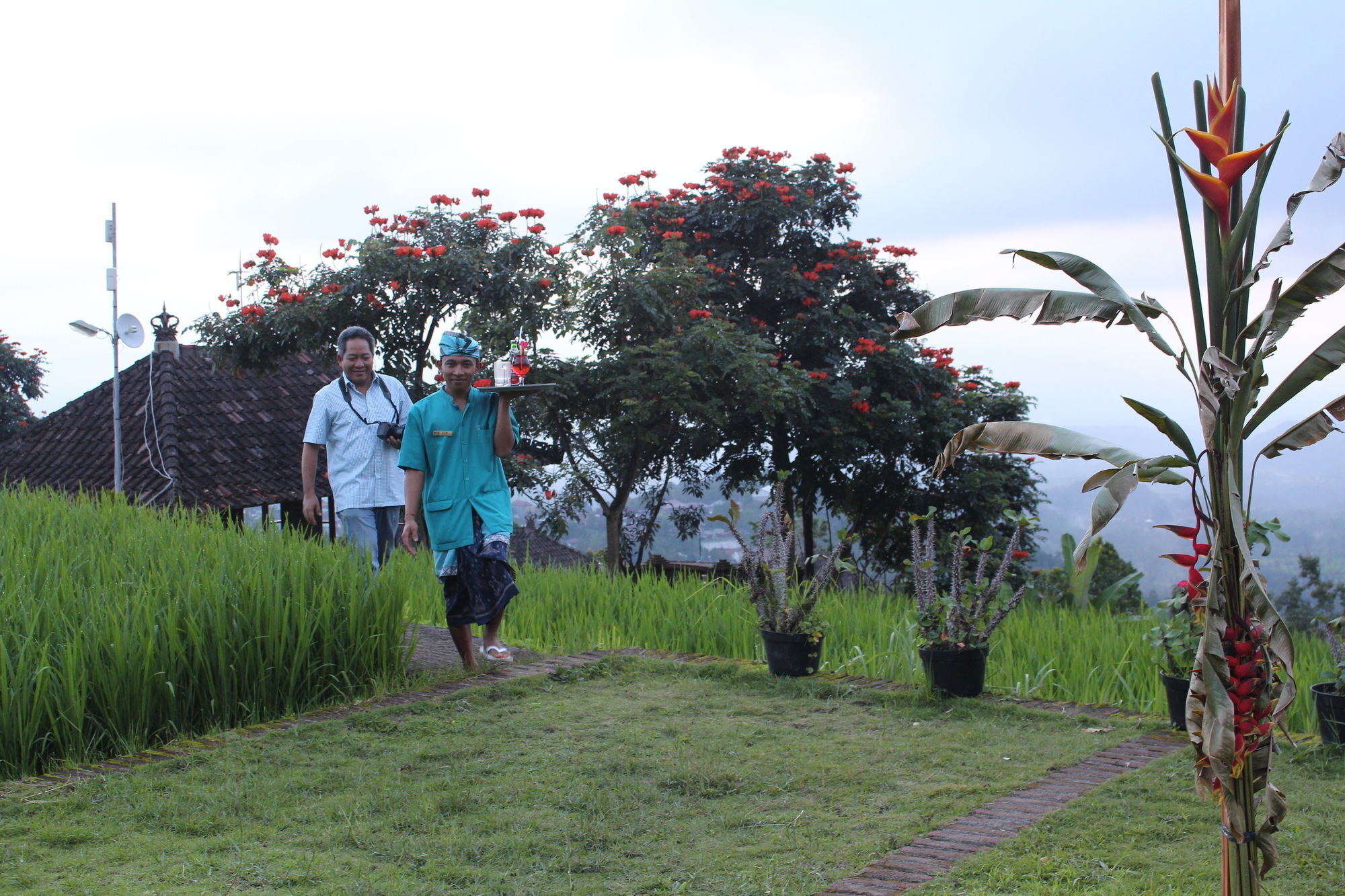 Puri Lumbung Cottages Gobleg  Bagian luar foto