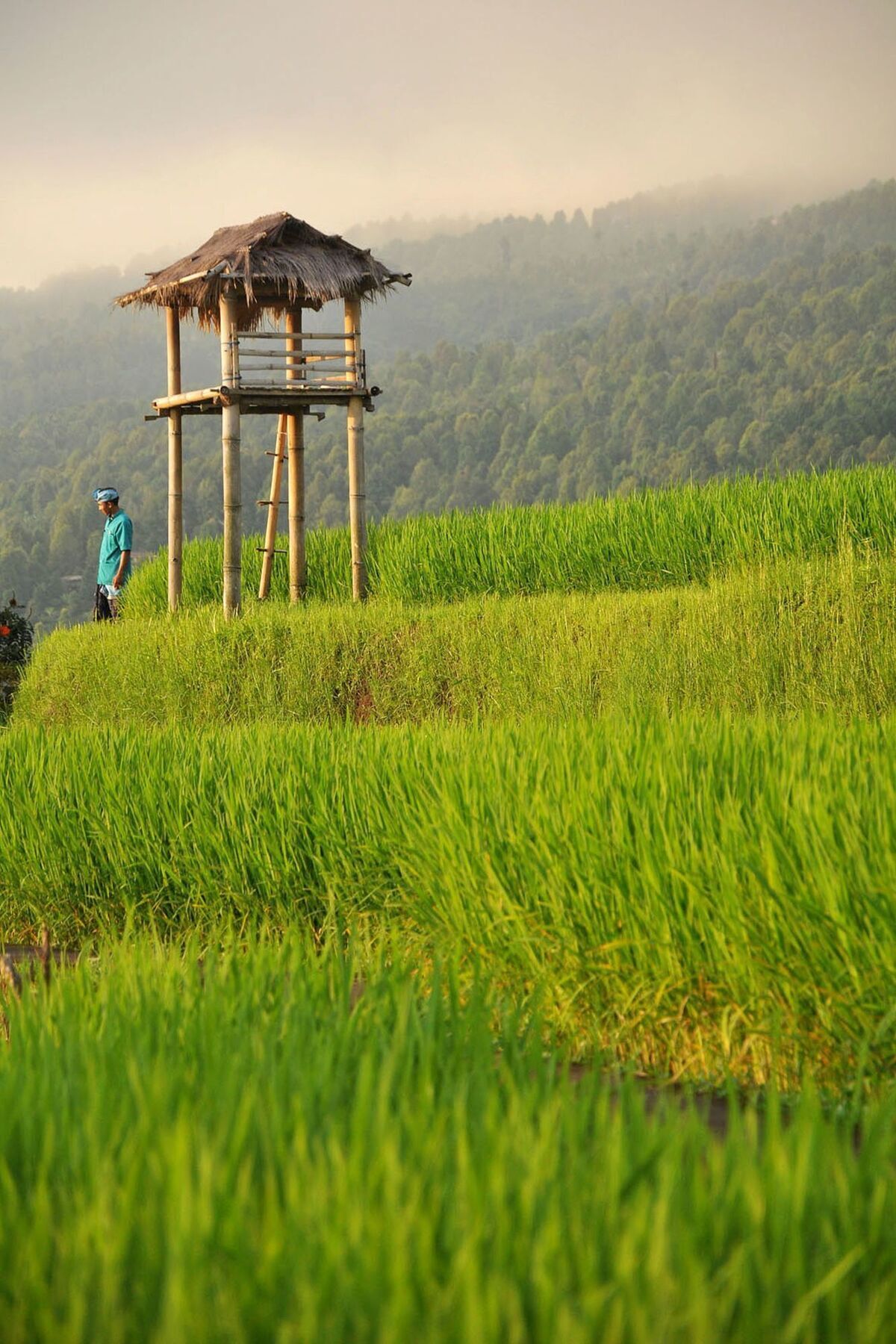 Puri Lumbung Cottages Gobleg  Bagian luar foto