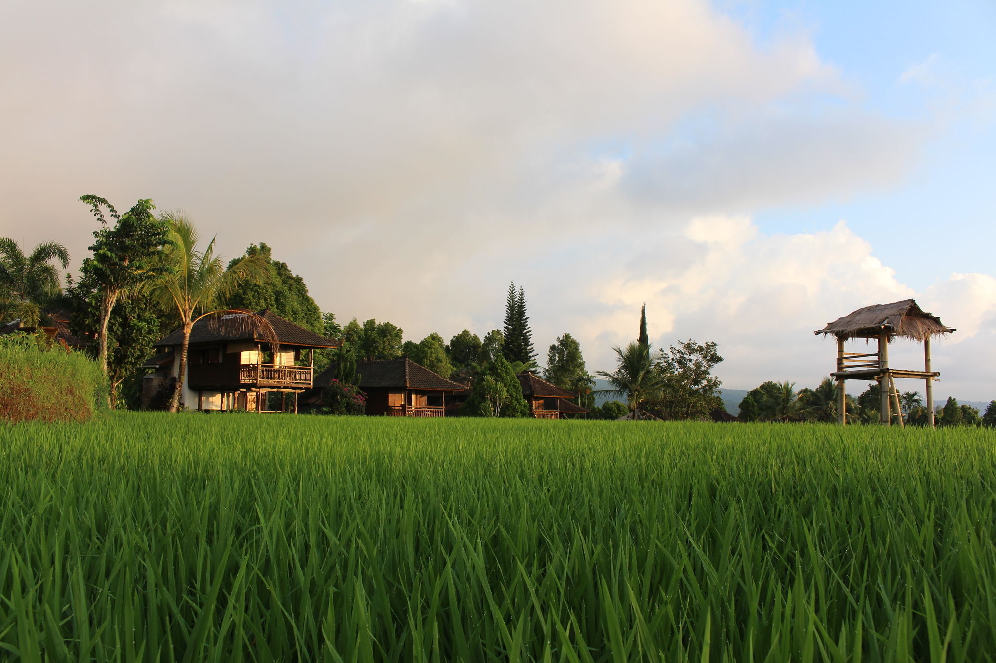 Puri Lumbung Cottages Gobleg  Bagian luar foto