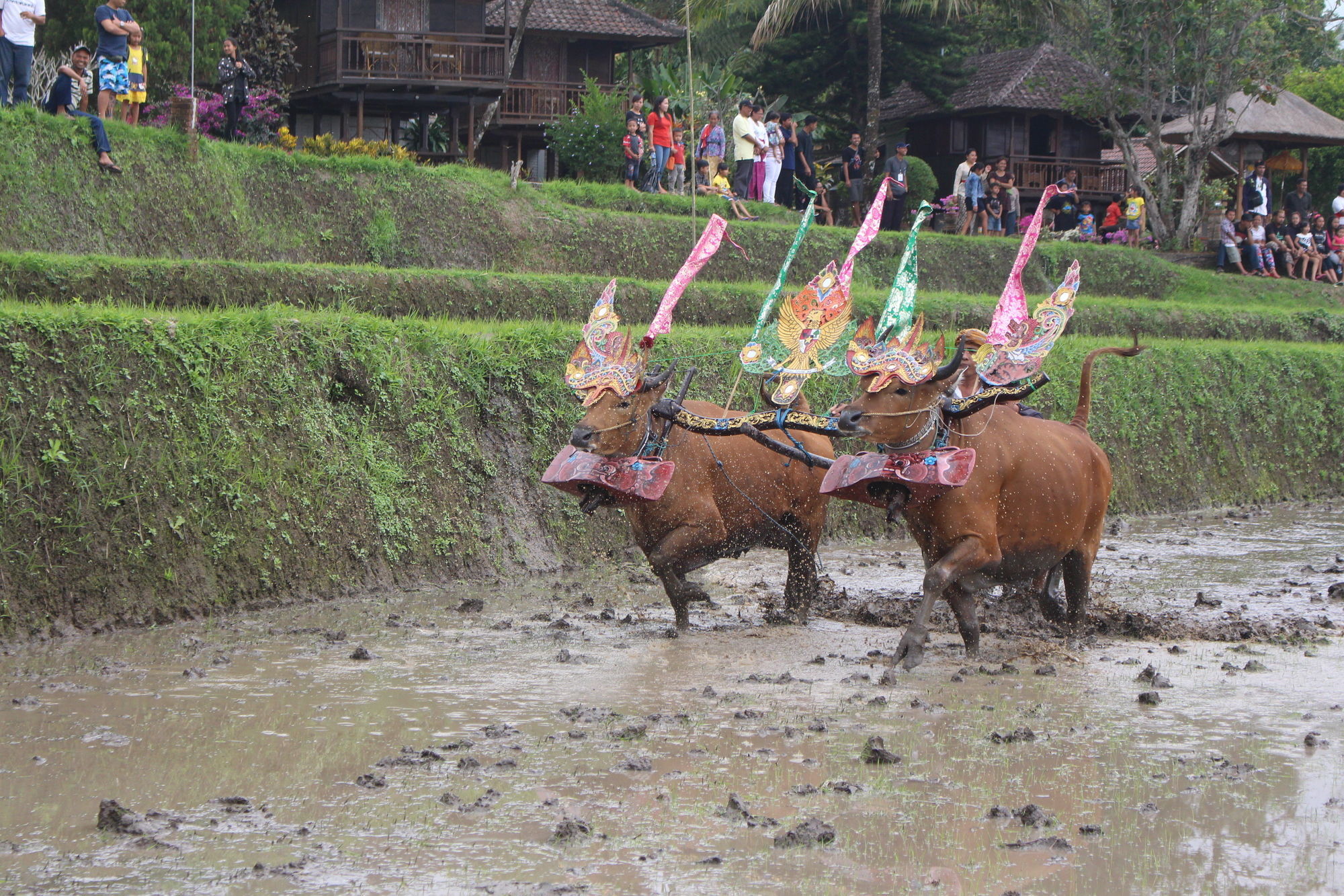 Puri Lumbung Cottages Gobleg  Bagian luar foto